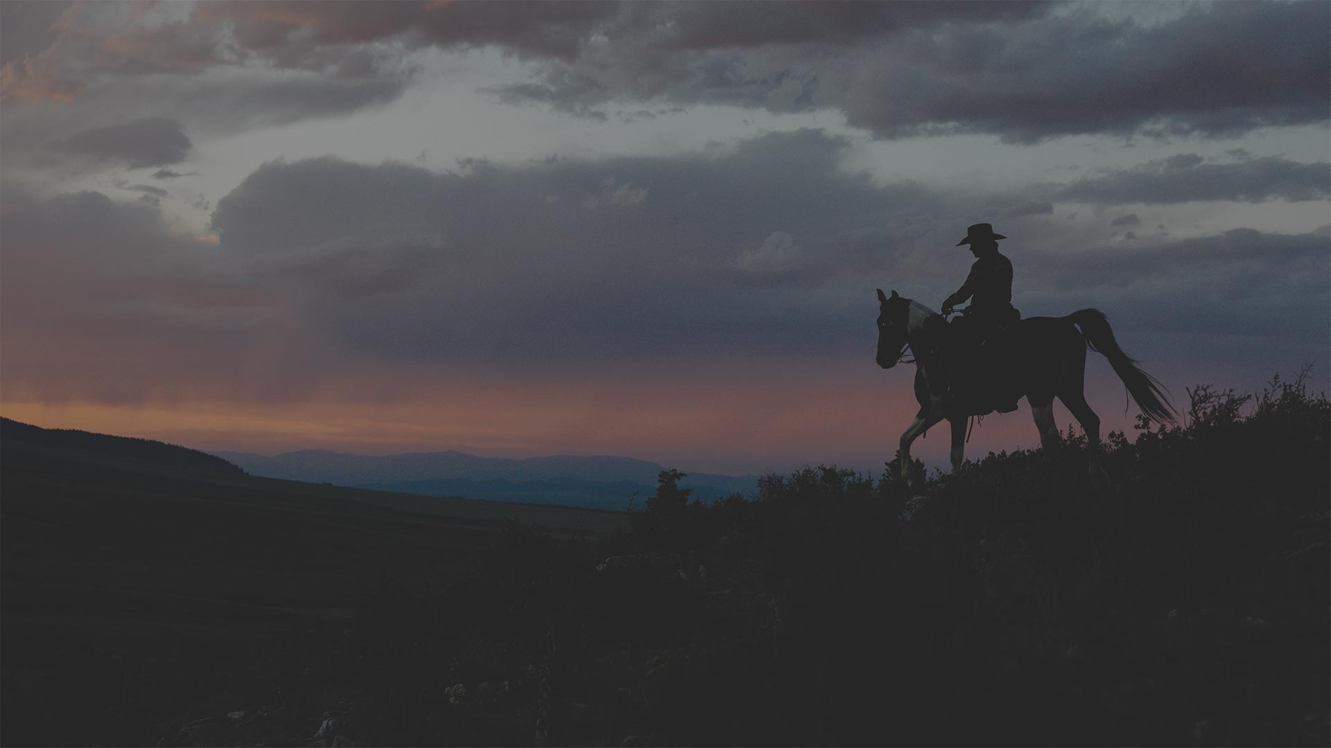person riding horse at sunset