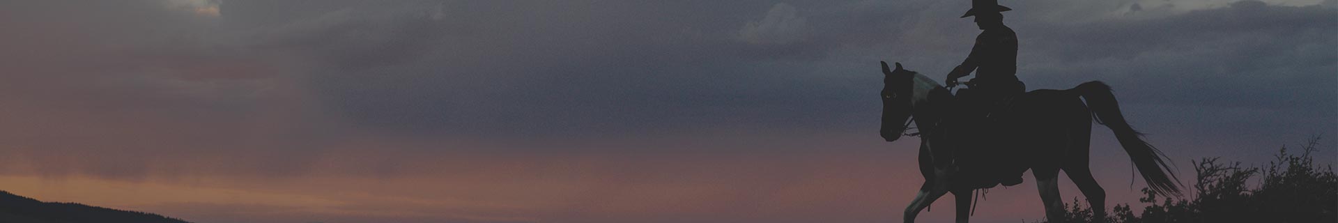 rider on horseback at sunset