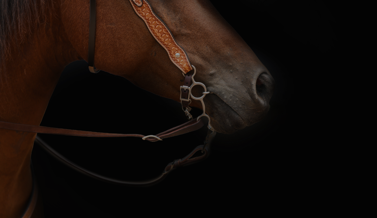 horse face